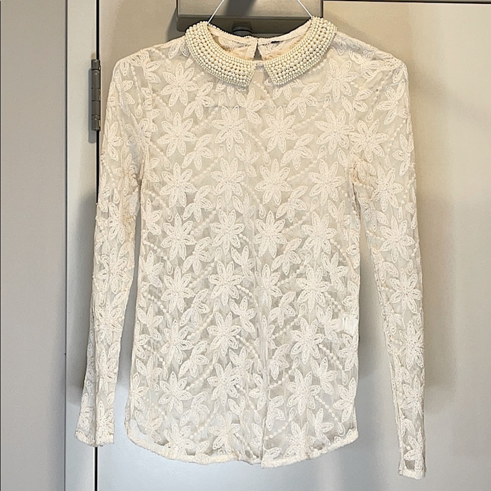 Elegant Zara victorian embroidered blouse